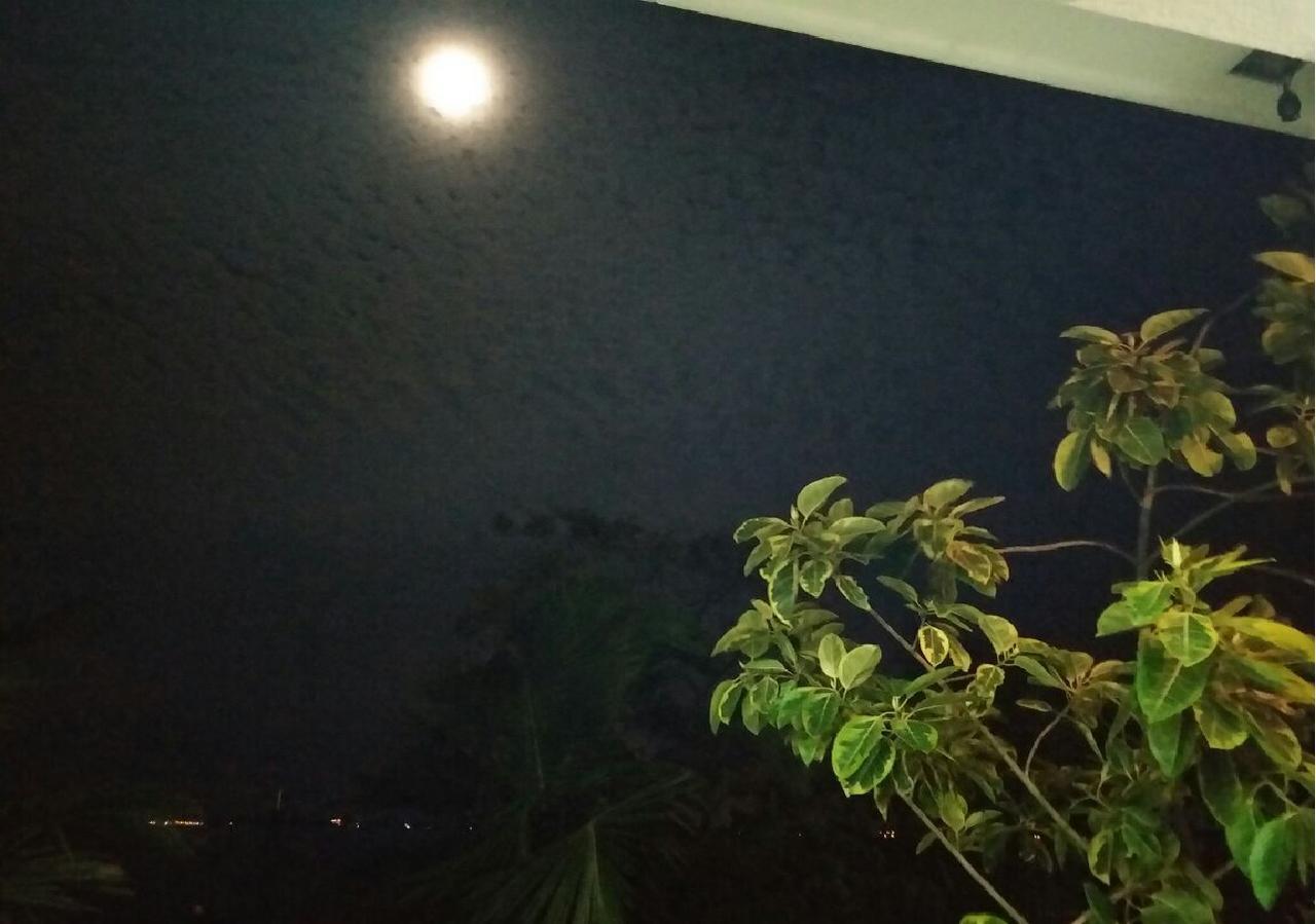 Negombo Holiday Home 外观 照片
